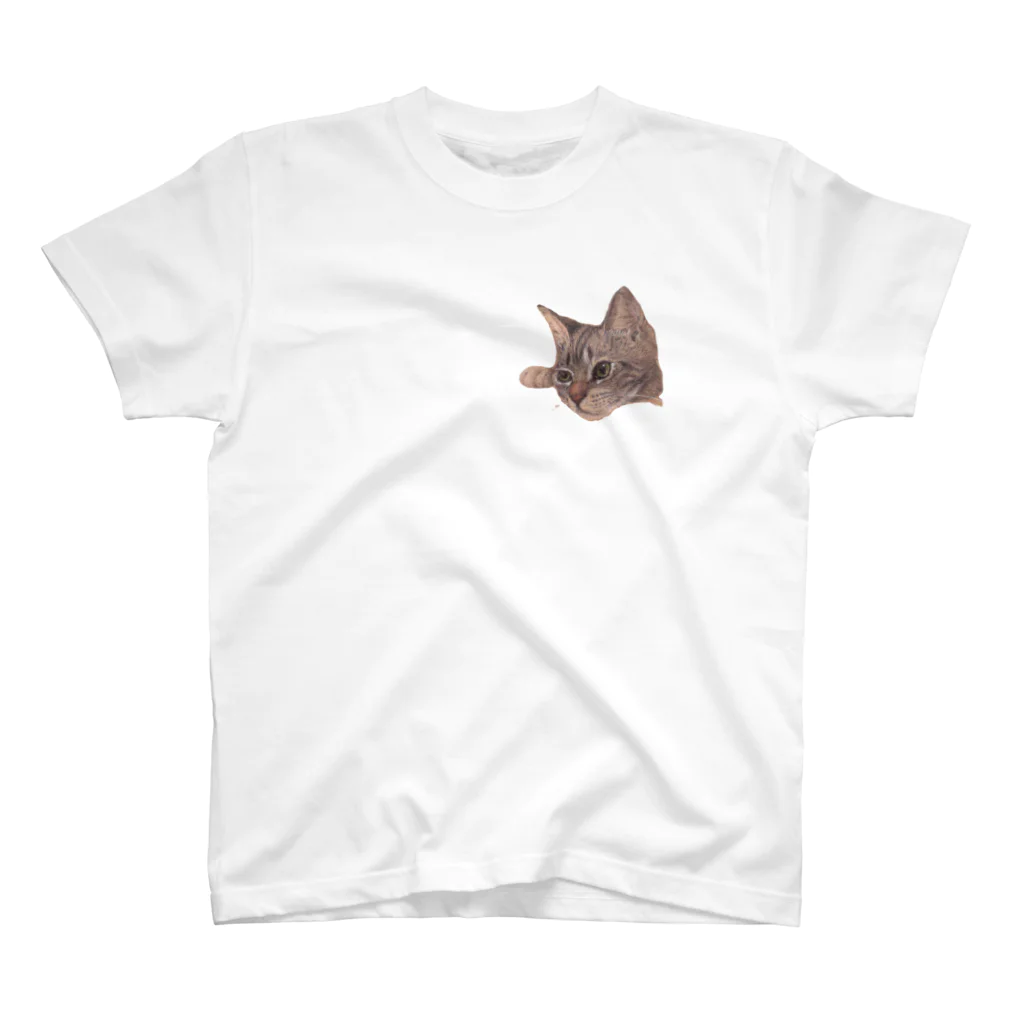 soraclaraの仔猫のくらら スタンダードTシャツ