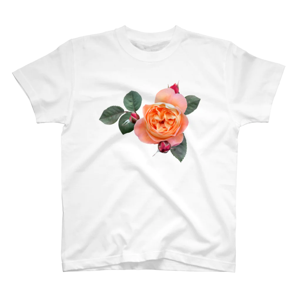 コマタヒチの【ロマン】蕾と葉のついたオレンジピンクの薔薇 スタンダードTシャツ