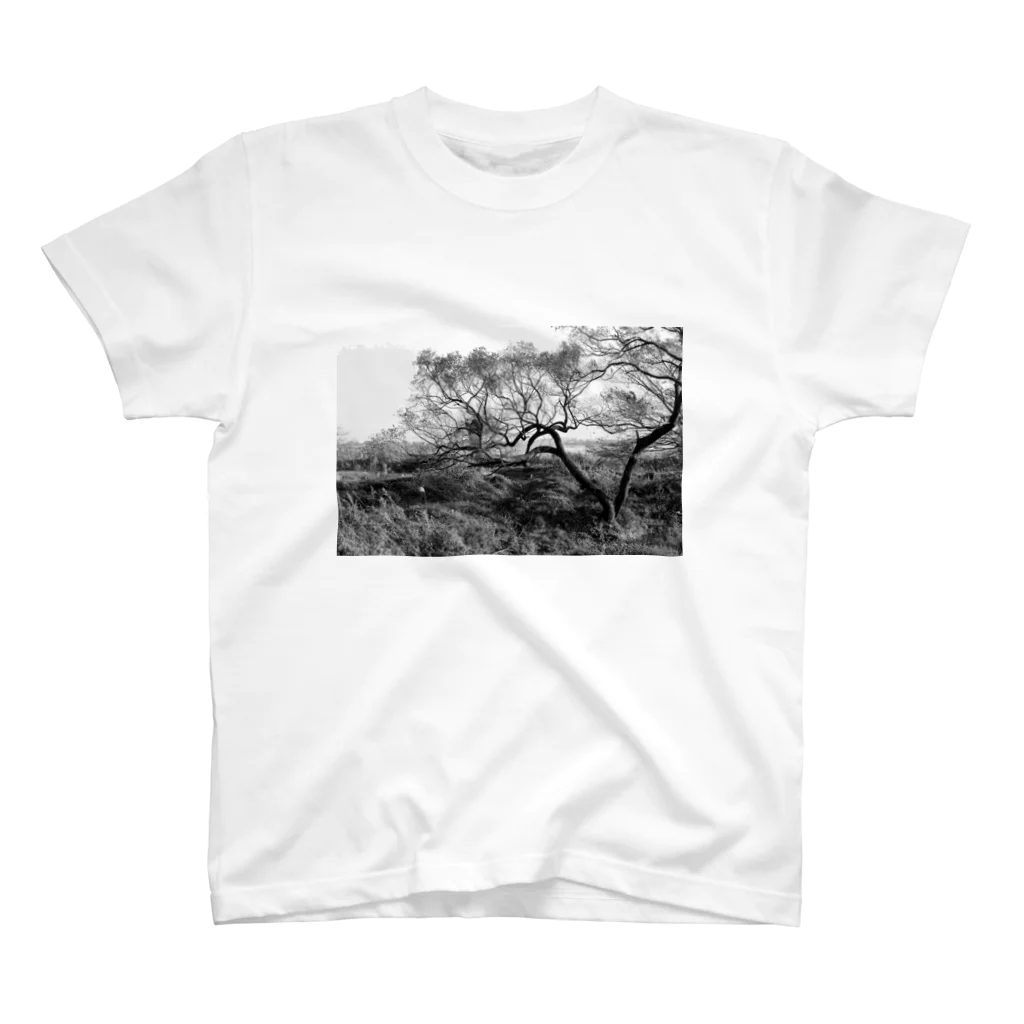 moriyamaのtree スタンダードTシャツ