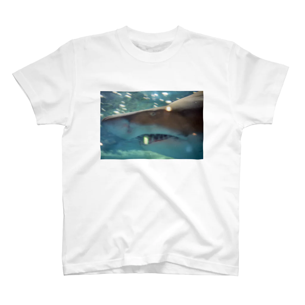 石垣星児のサメ スタンダードTシャツ
