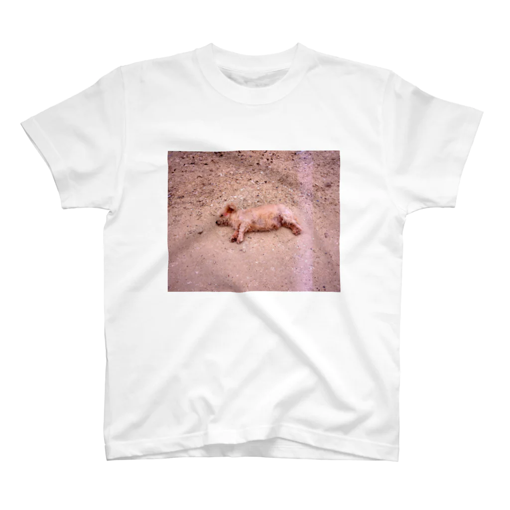 石垣星児の健康な犬 スタンダードTシャツ