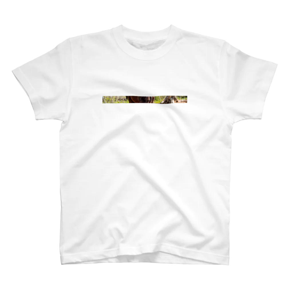 HarmonyCollege_Osyan-T-shirtの馬おしゃんＴシャツ Regular Fit T-Shirt