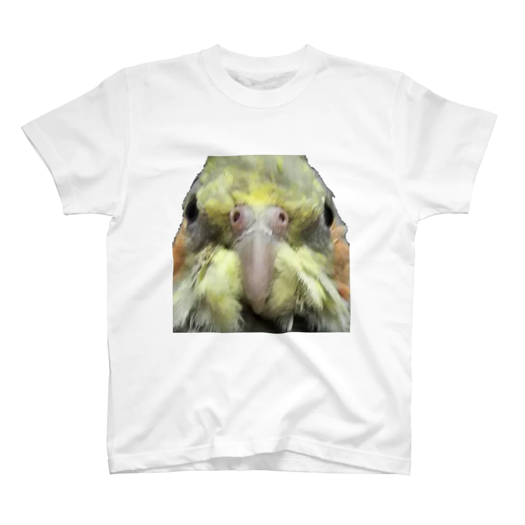 kabazousaruinunekoの圧をかけてくるオカメインコ Regular Fit T-Shirt