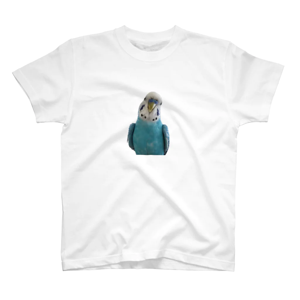 kabazousaruinunekoのセキセイインコのあもくんのあもくん Regular Fit T-Shirt