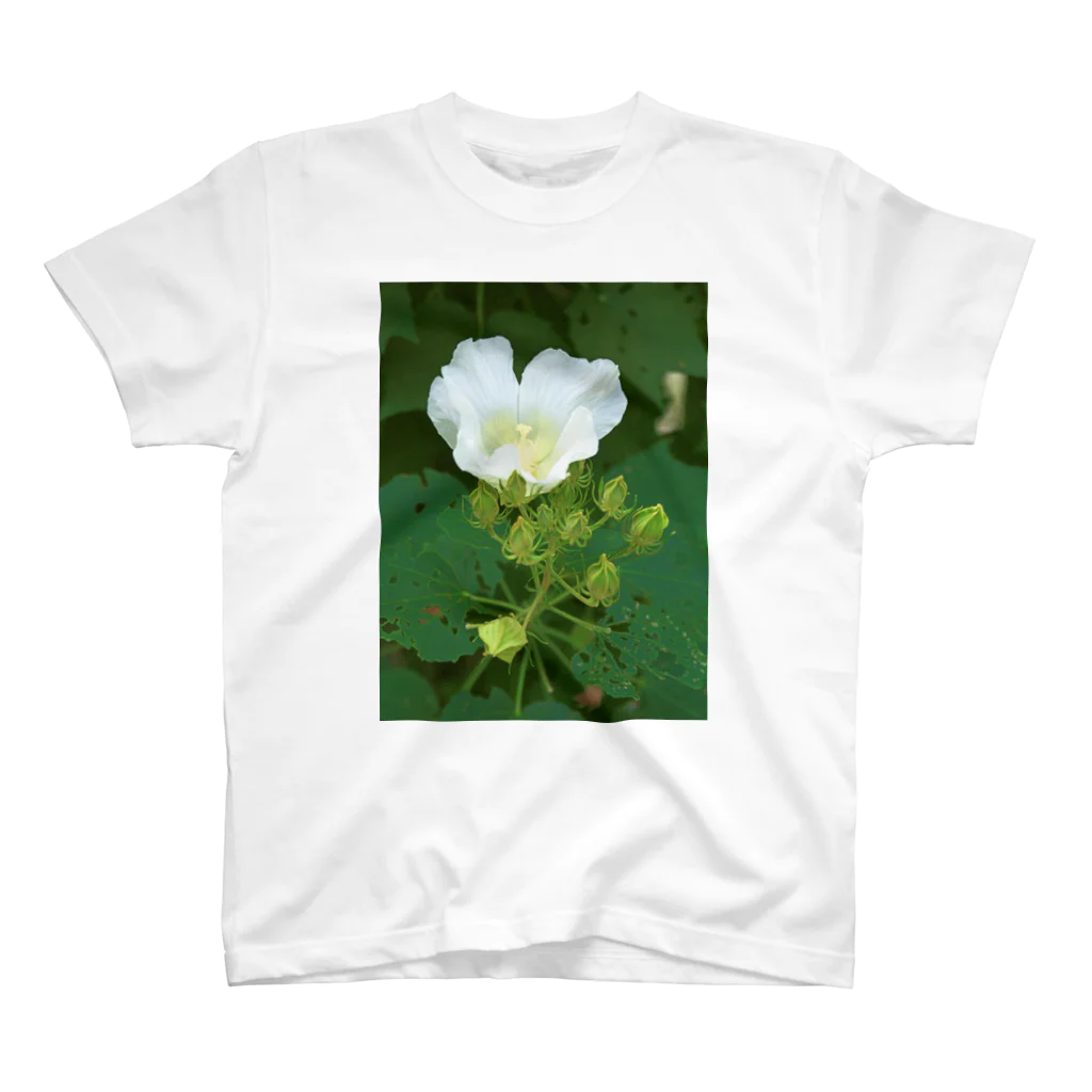 hiroki-naraの芙蓉 DATA_P_132　Confederate Rose ハスの花の古名 スタンダードTシャツ