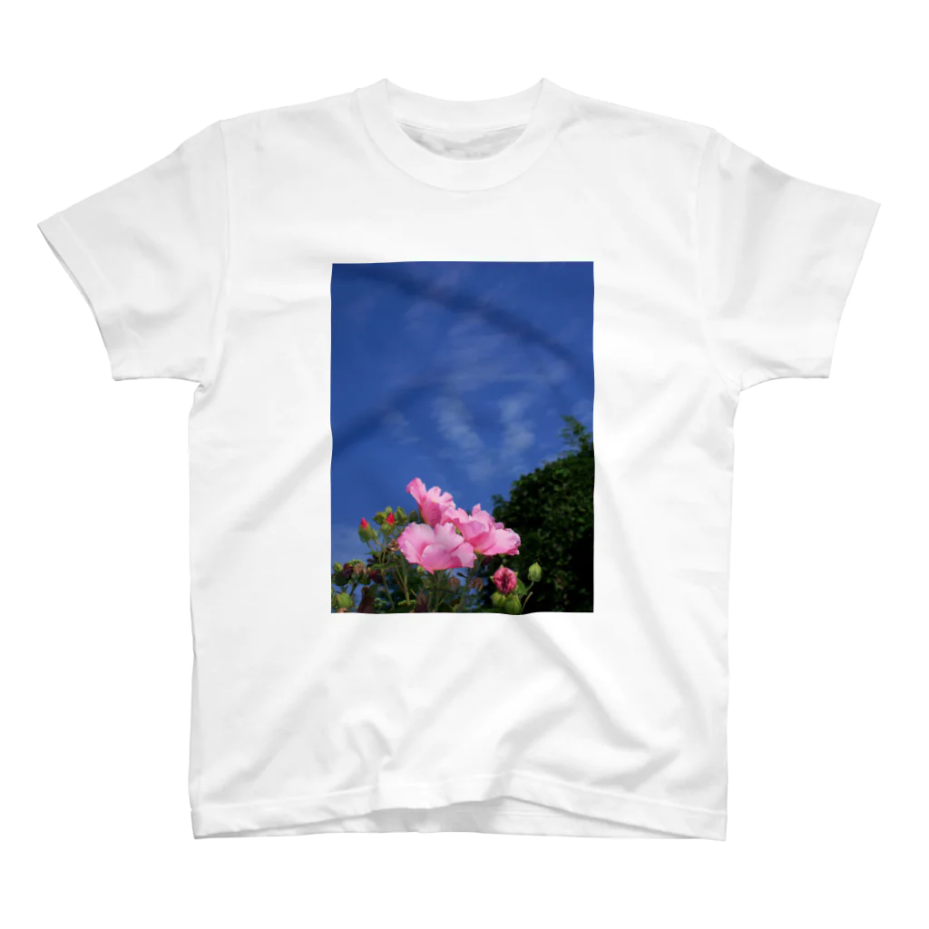 hiroki-naraの芙蓉 DATA_P_133　Confederate Rose ハスの花の古名 スタンダードTシャツ