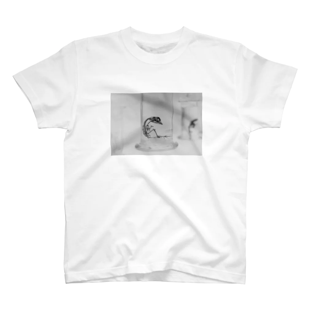 WashMineのWash Bird スタンダードTシャツ