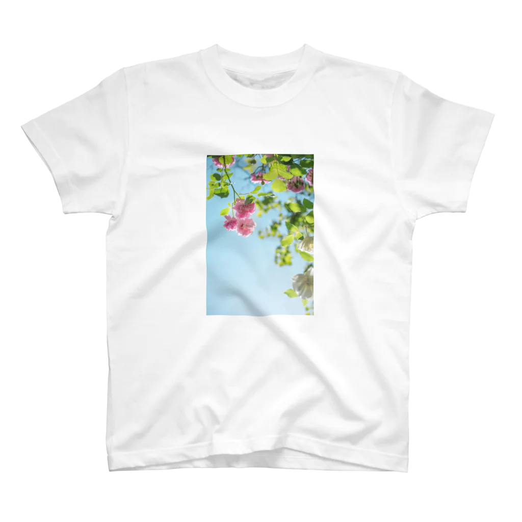 BLACKANDWHITEのrose sky スタンダードTシャツ