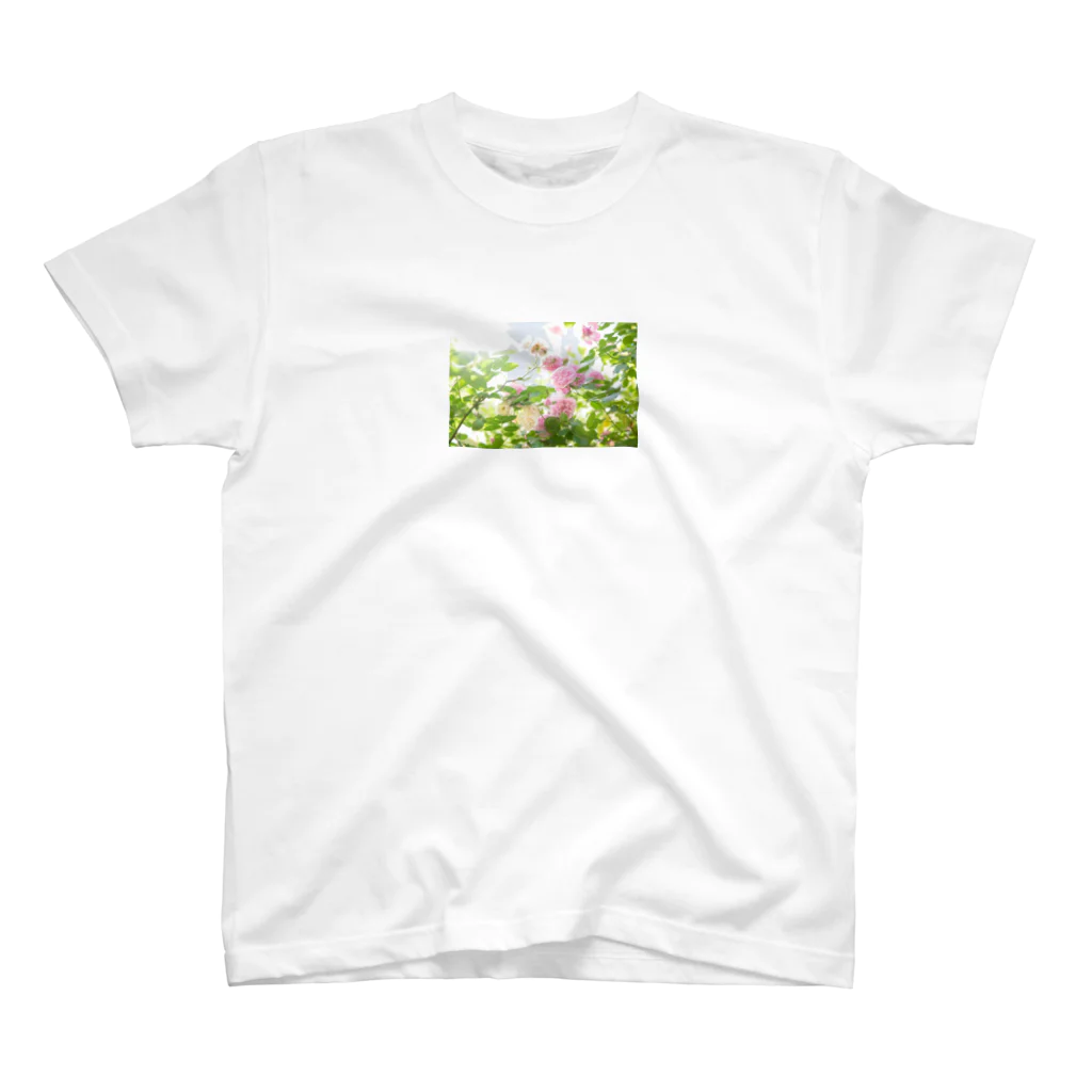 BLACKANDWHITEのRose Garden スタンダードTシャツ