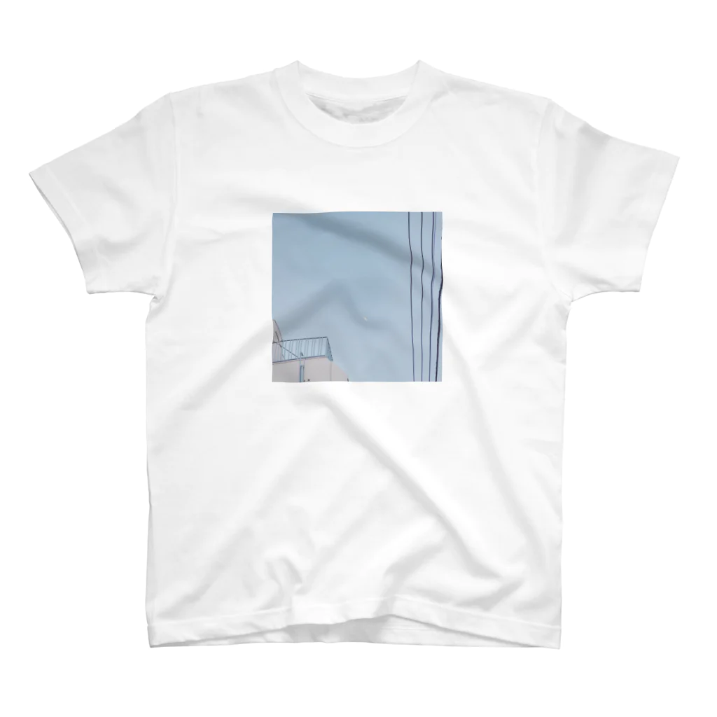 梢の白む Regular Fit T-Shirt