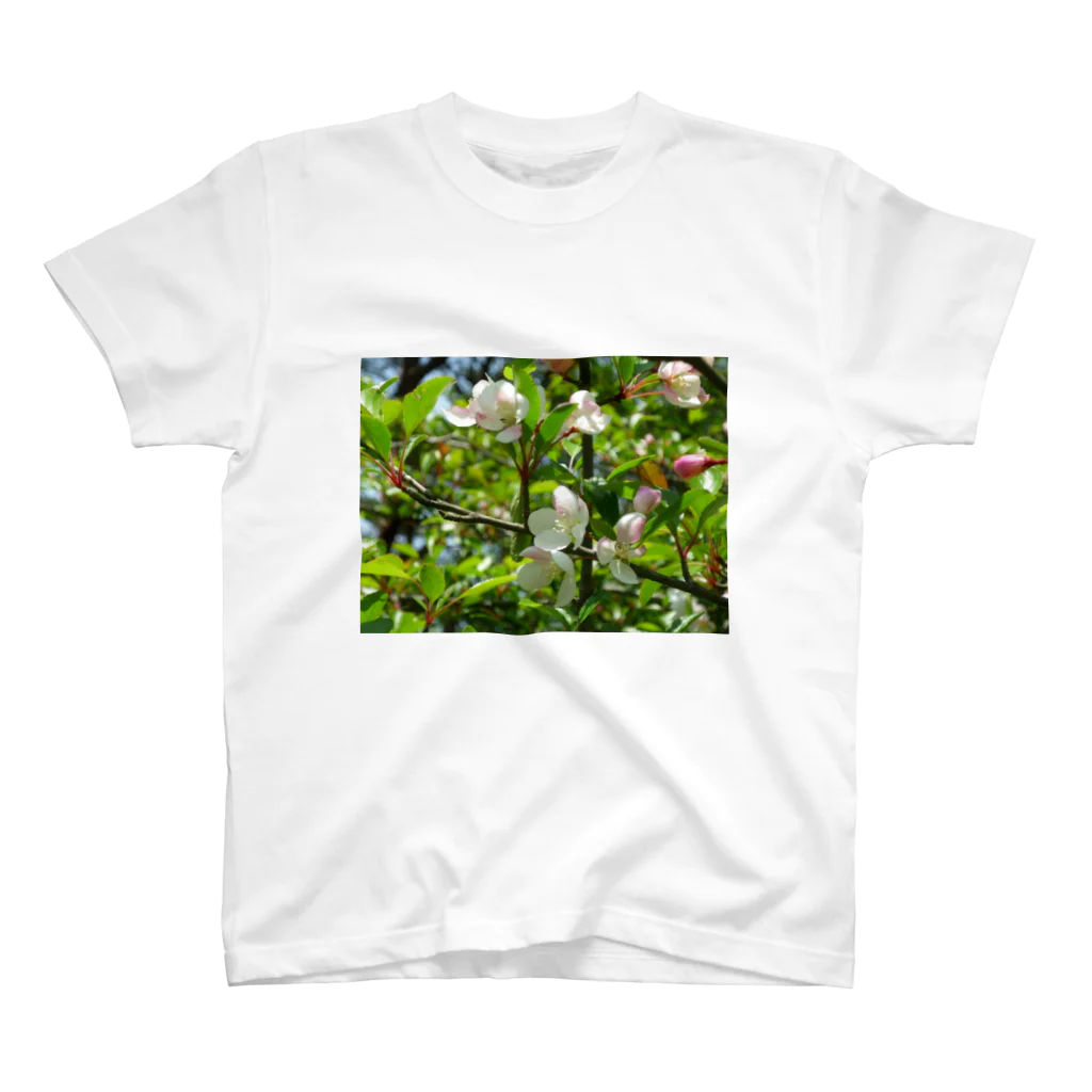 レモンタイムの庭のノカイドウの花 スタンダードTシャツ