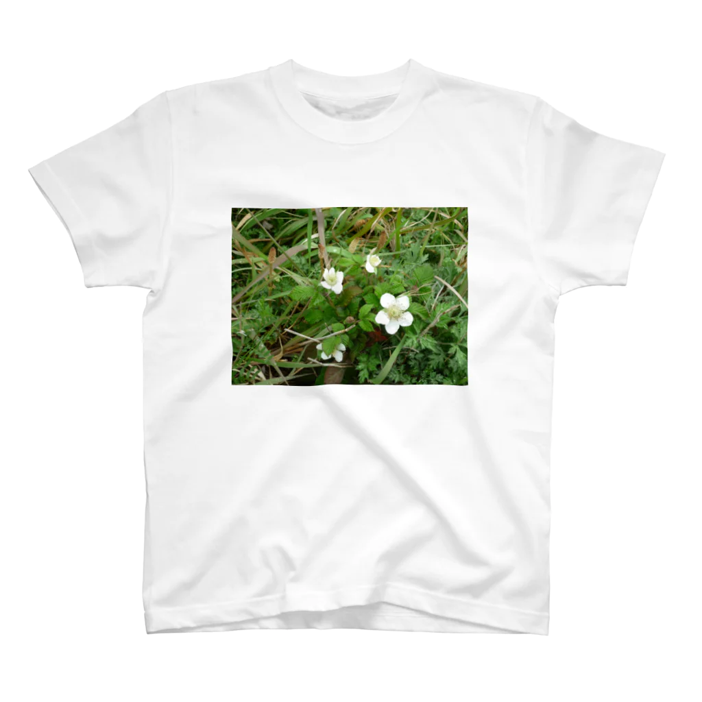 レモンタイムの庭の野の花 スタンダードTシャツ