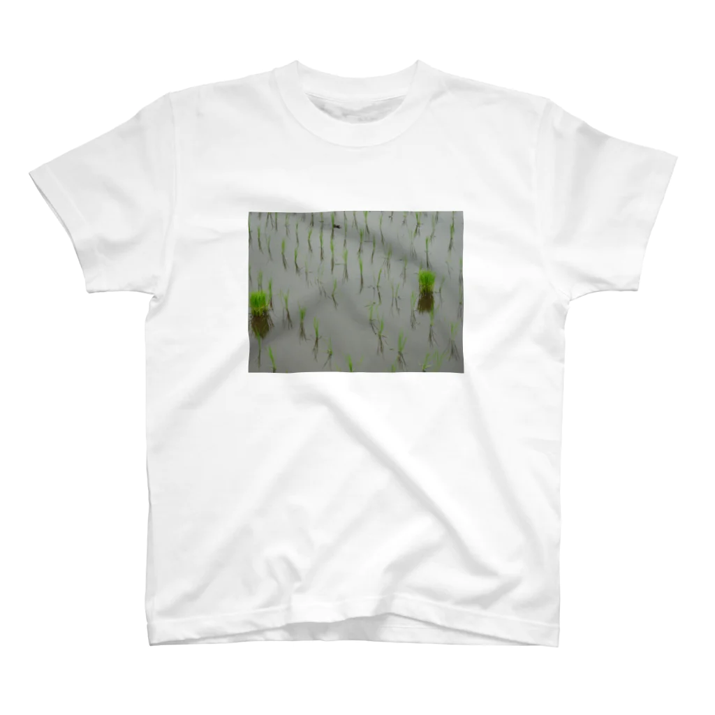 レモンタイムの庭の田植え Regular Fit T-Shirt