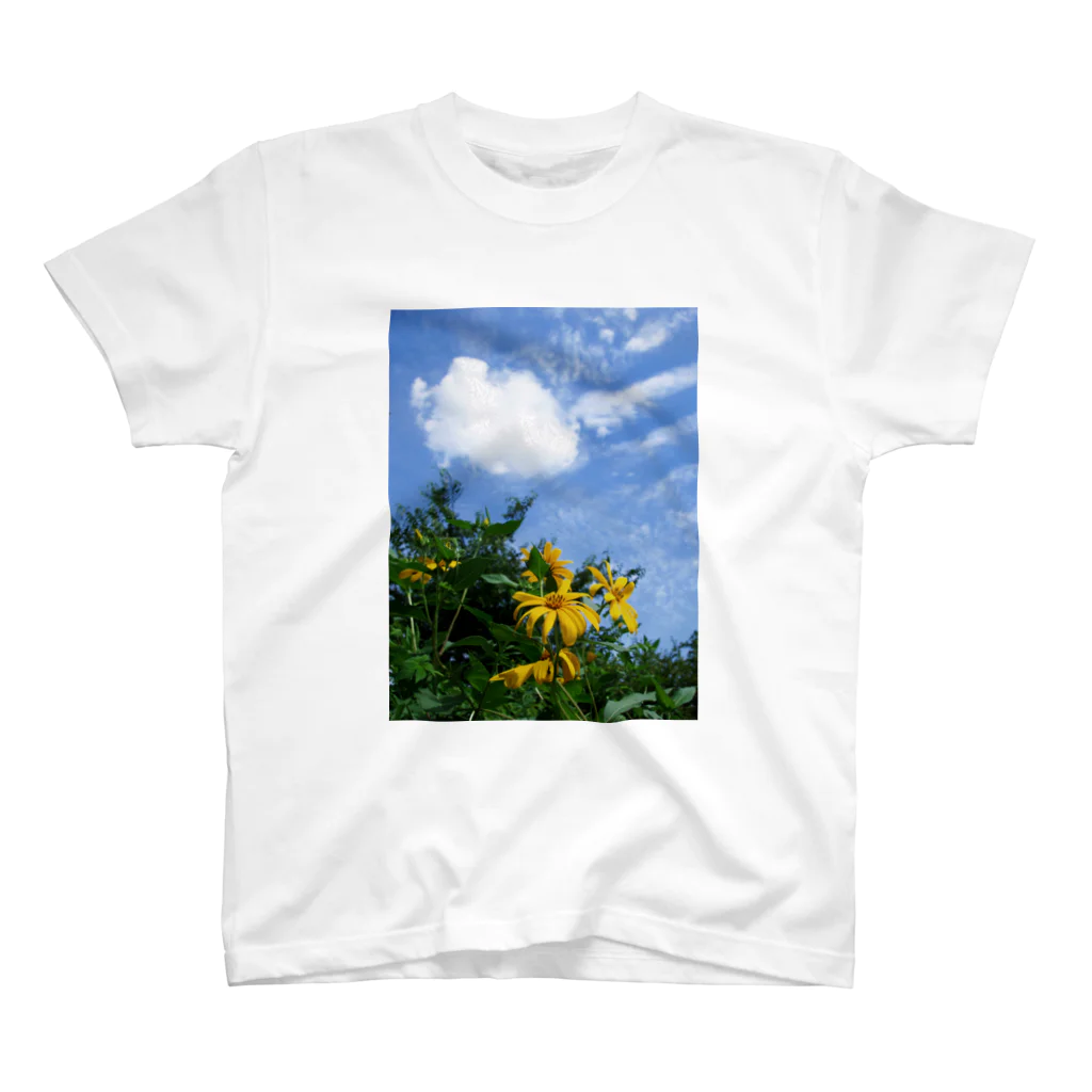 hiroki-naraの菊芋と空と雲　DATA_P_134　sky　cloud スタンダードTシャツ