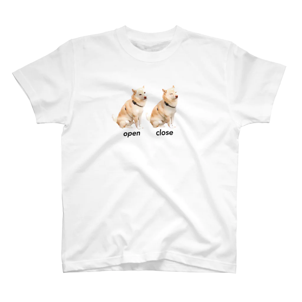 本日のおだしまの柴犬たけゆき　(開閉) スタンダードTシャツ