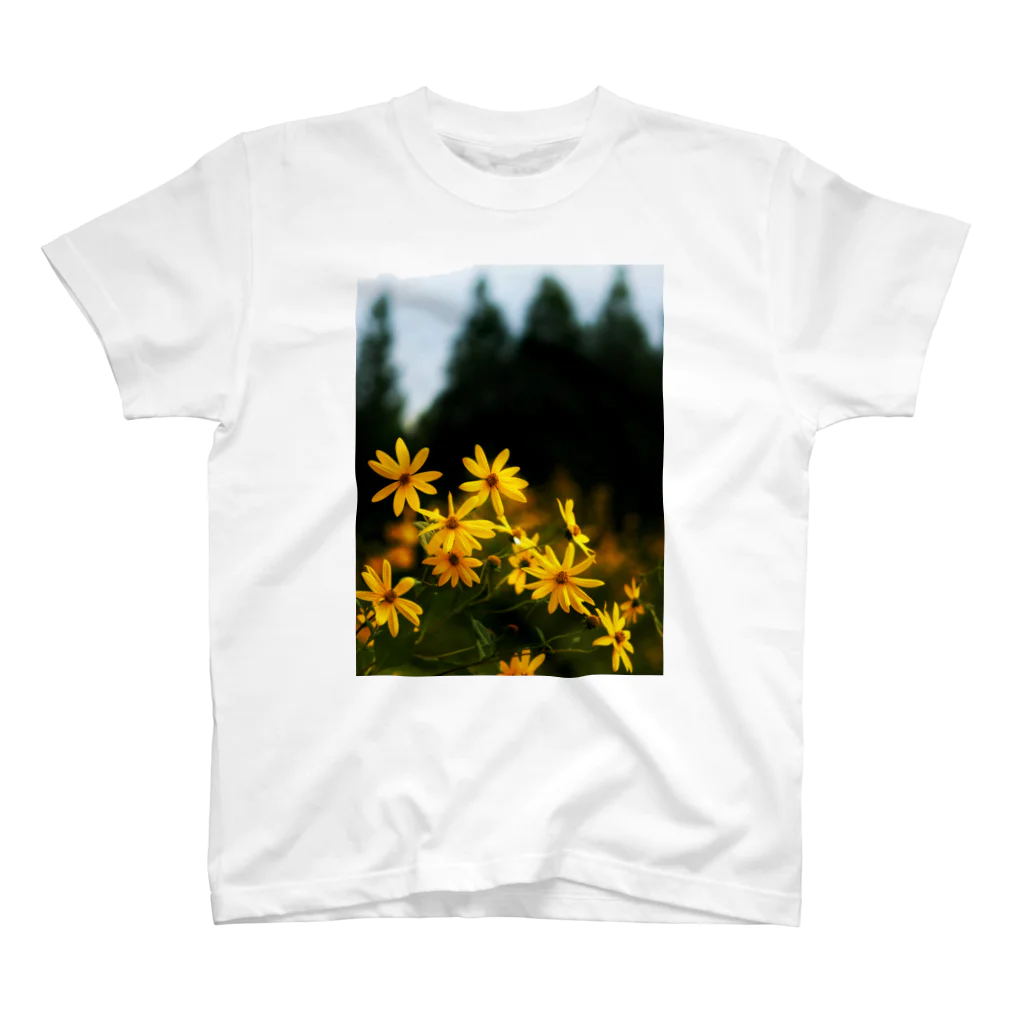 hiroki-naraの菊芋と樹木　DATA_P_139 tree スタンダードTシャツ