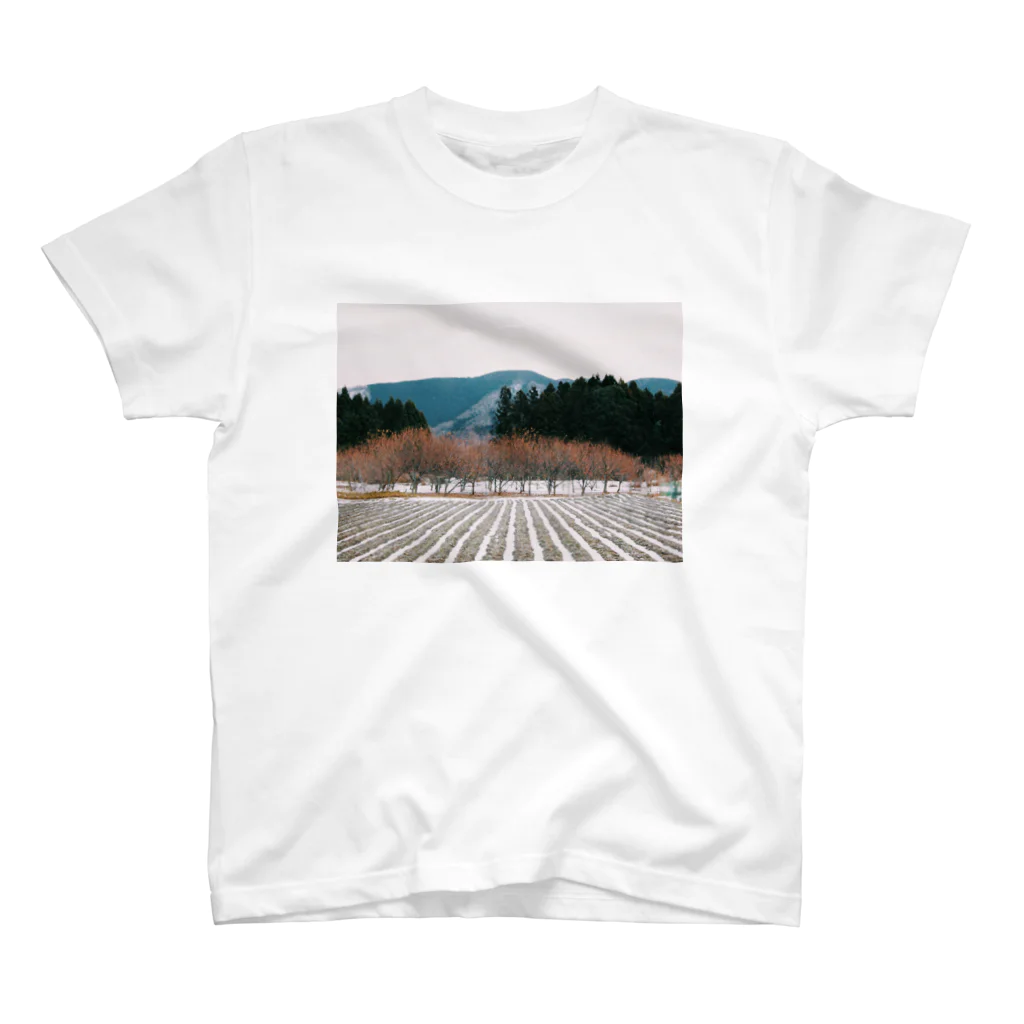 Sanami 紗　のlandscape No.5 Regular Fit T-Shirt