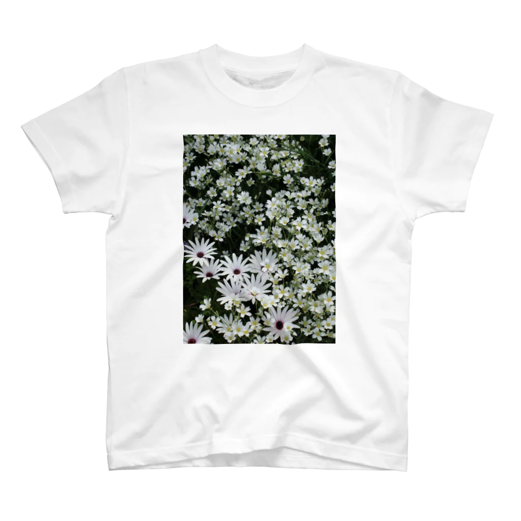 Gardenの白い花畑 スタンダードTシャツ