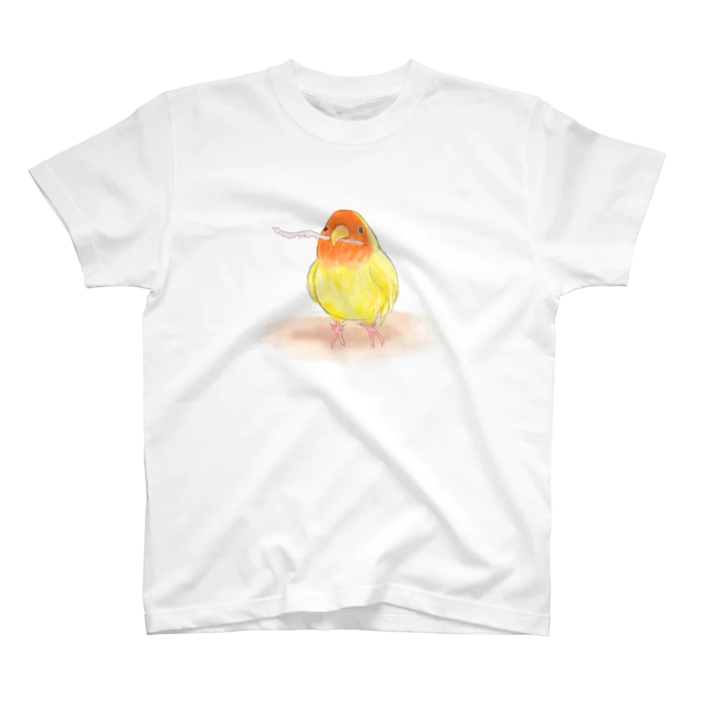 まめるりはことりのコザクラインコ　レイ【まめるりはことり】 スタンダードTシャツ