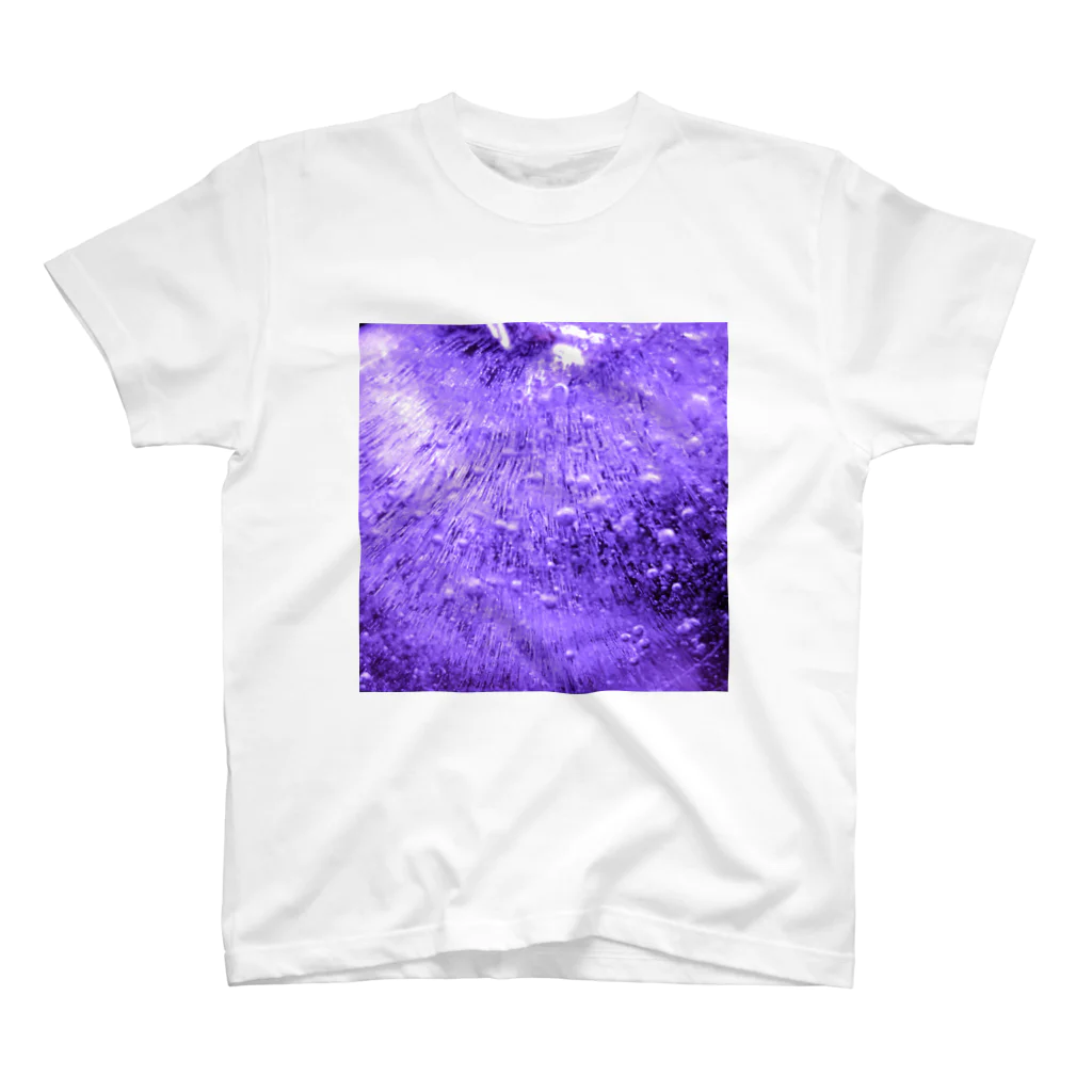 みそしるの紫の氷 スタンダードTシャツ