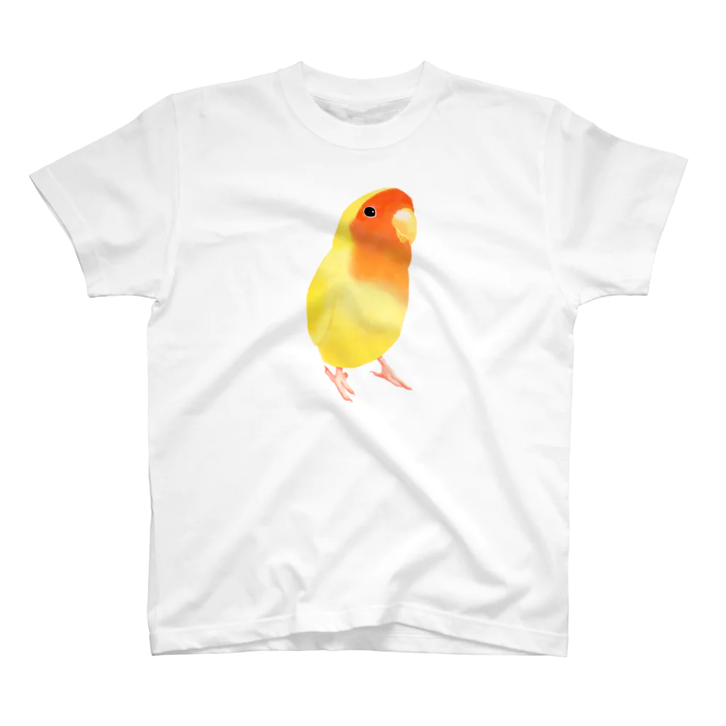 まめるりはことりのコザクラインコ　おすましルチノー【まめるりはことり】 Regular Fit T-Shirt