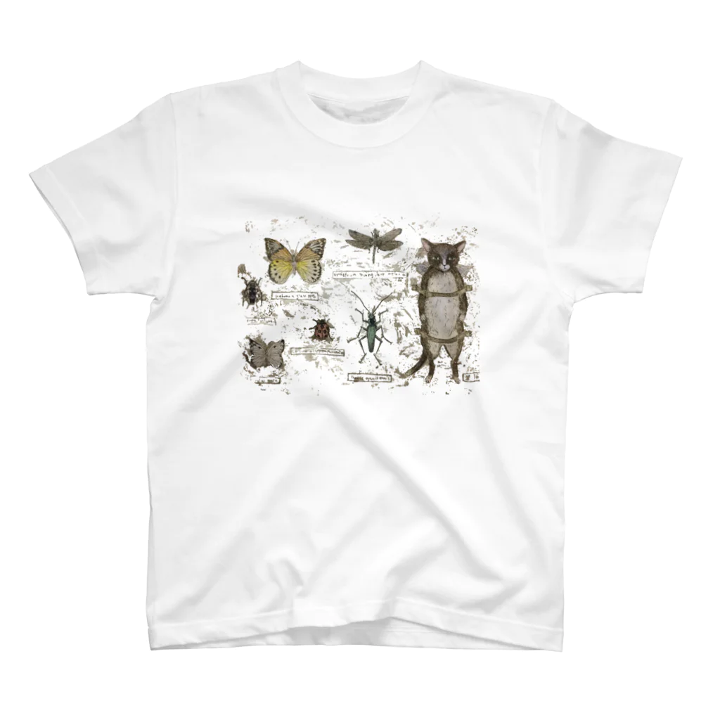 ヤマネコ。の部屋の標本制作 スタンダードTシャツ