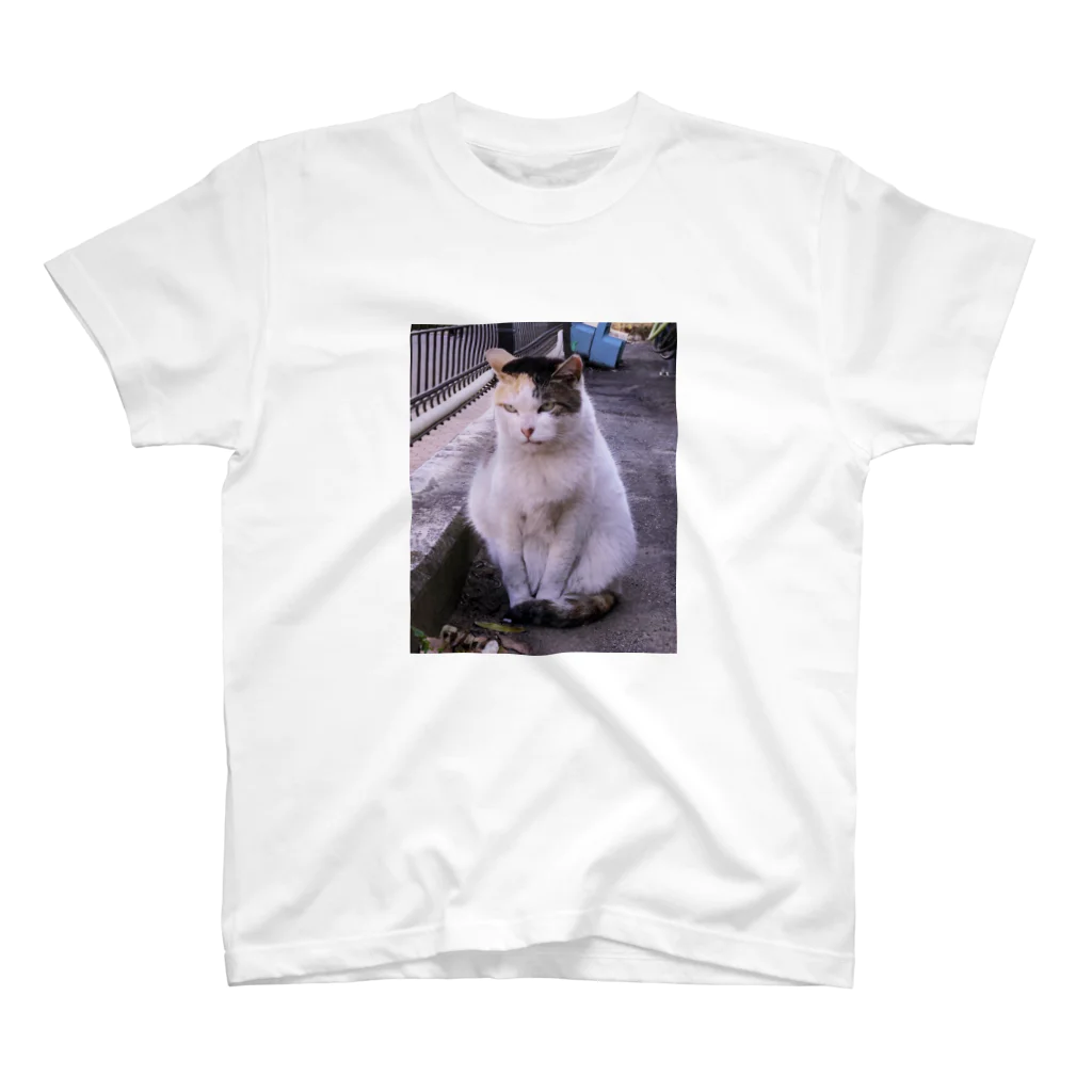 たろちの愛想のいいねこ Regular Fit T-Shirt