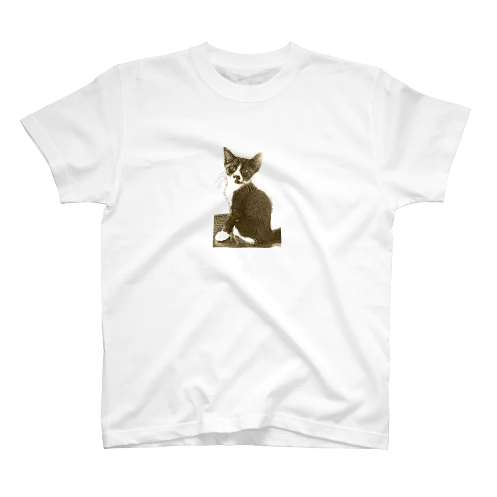 アクセサリーきまぐれ猫のジャックくんの決まり顔 スタンダードTシャツ