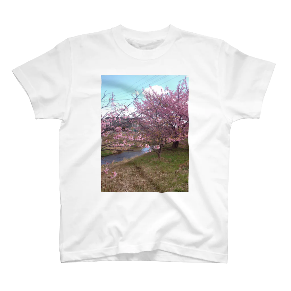 jurianoの四日市市桜地区の河津桜 スタンダードTシャツ