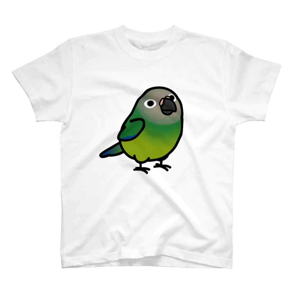 Cody the LovebirdのChubby Bird シモフリインコ スタンダードTシャツ