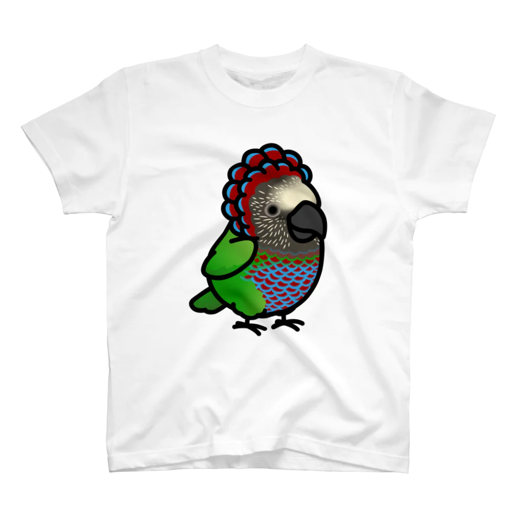 Cody the LovebirdのChubby Bird ヒオウギインコ スタンダードTシャツ