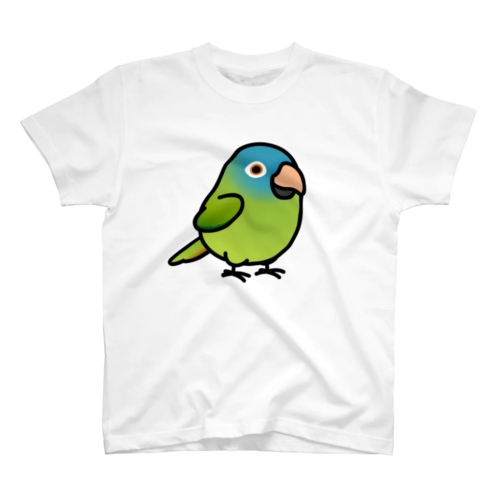 Cody the LovebirdのChubby Bird トガリオインコ Regular Fit T-Shirt