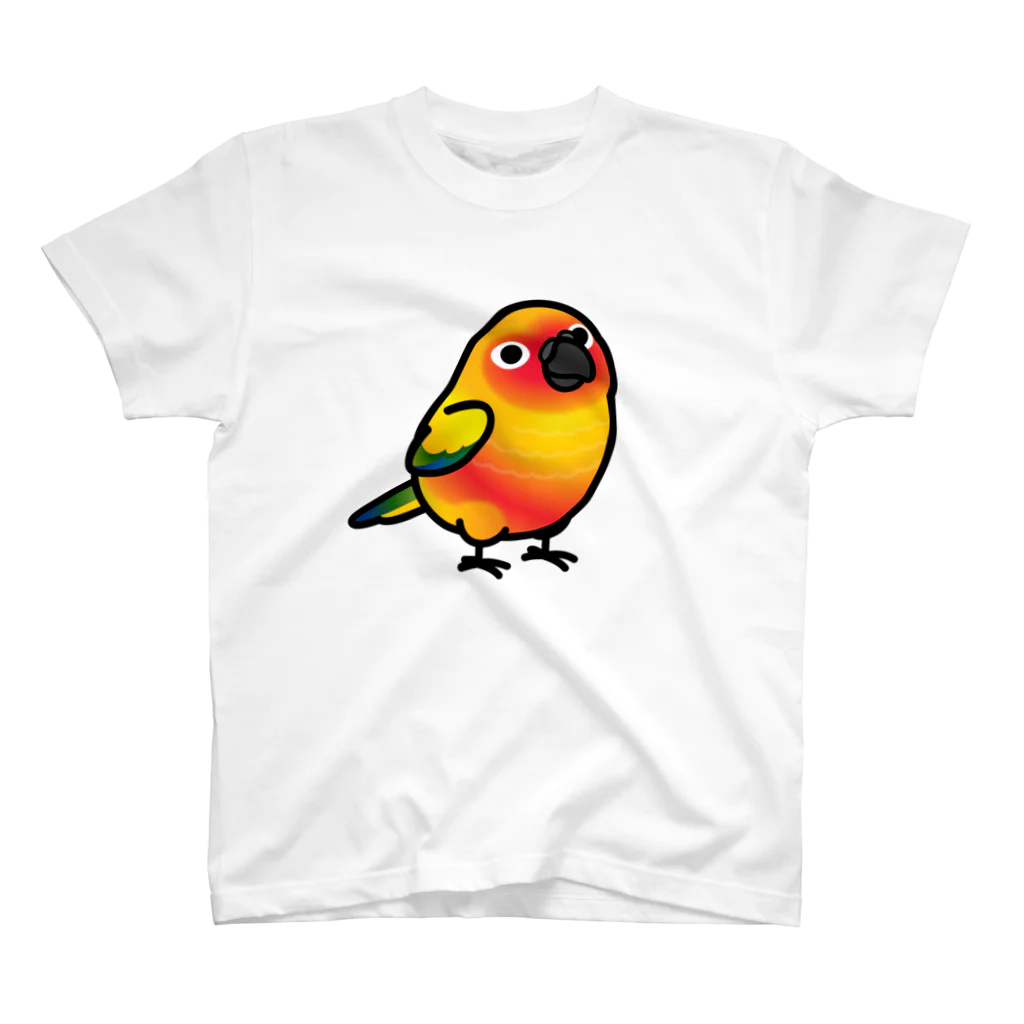 Cody the LovebirdのChubby Bird コガネメキシコインコ Regular Fit T-Shirt