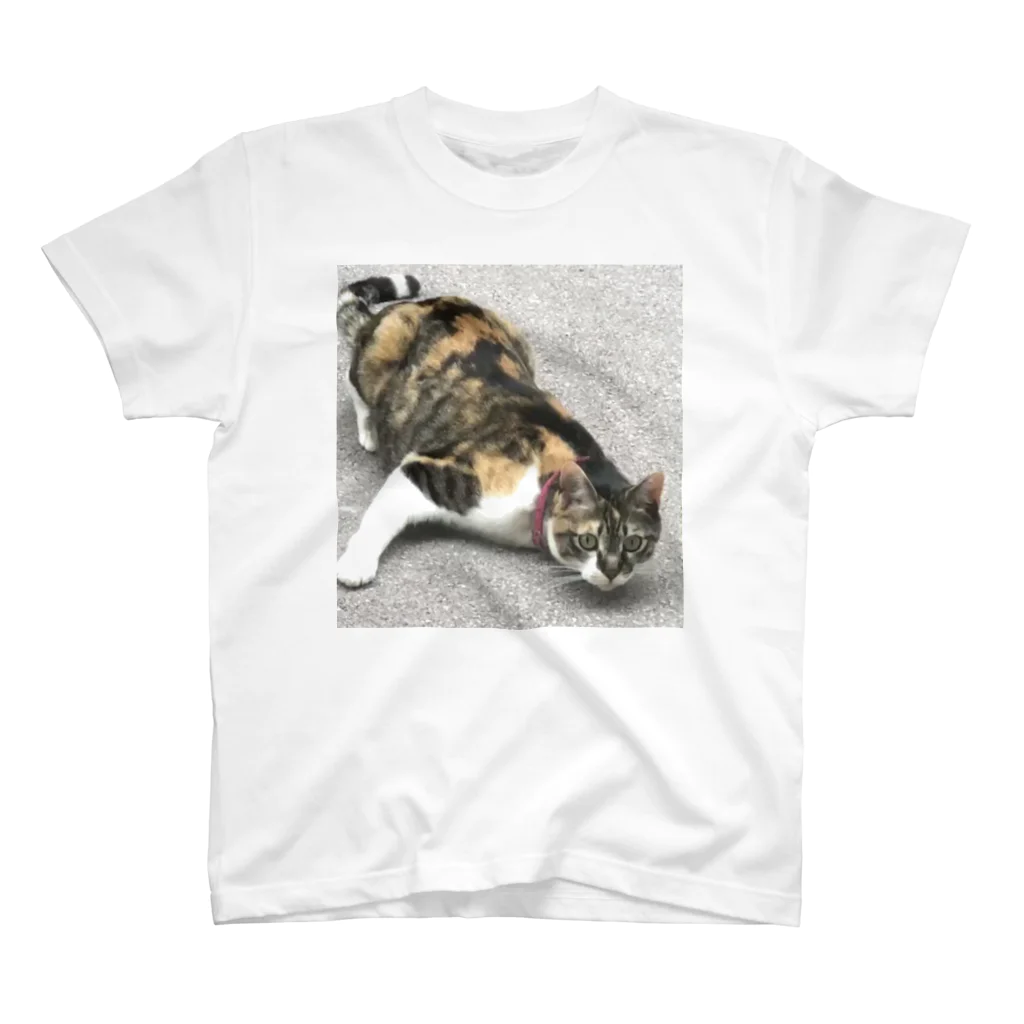 shosho_0413のねらう猫 スタンダードTシャツ