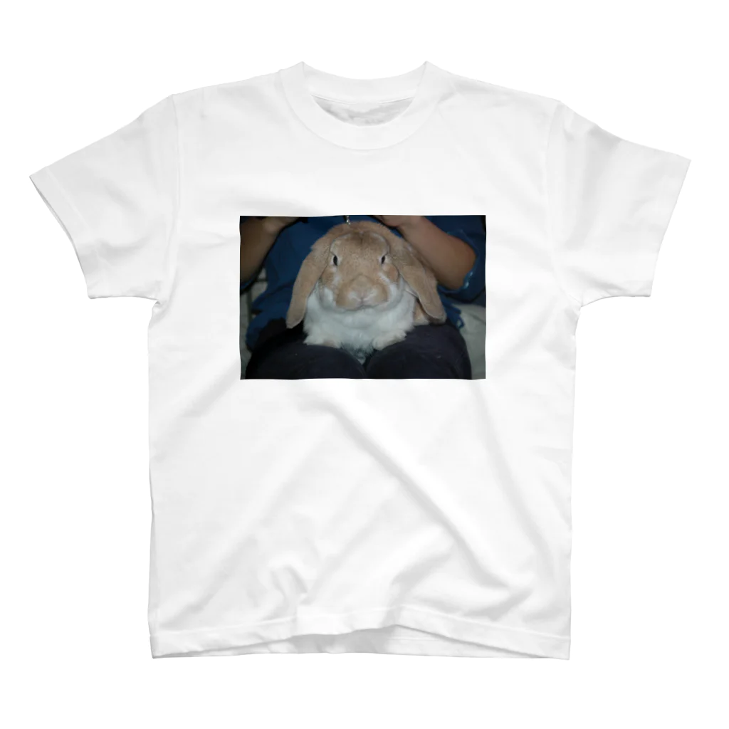 nekotenのアンゴラうさぎ Regular Fit T-Shirt