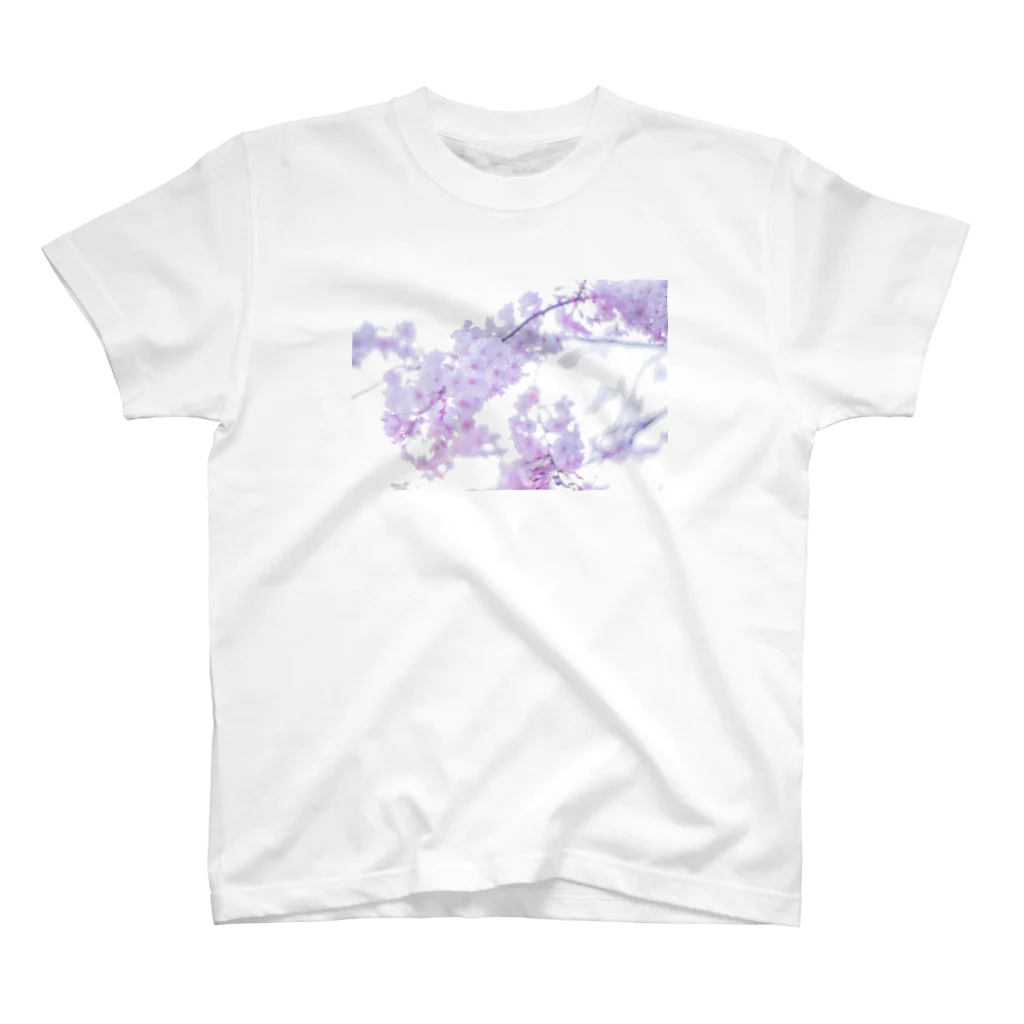 後居の桜フォト(2) スタンダードTシャツ