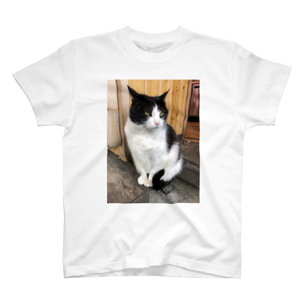 猫和尚のＴシャツ屋さんの神社の猫 スタンダードTシャツ