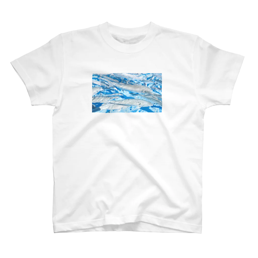 hamの魚影 Regular Fit T-Shirt