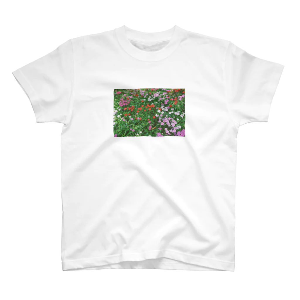 なかさわの花畑 スタンダードTシャツ