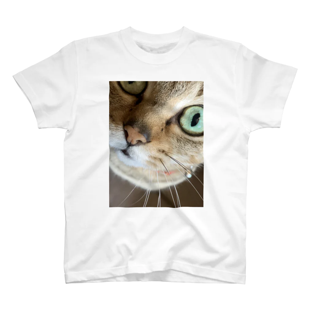 ここナッスの猫の名は、、、 スタンダードTシャツ