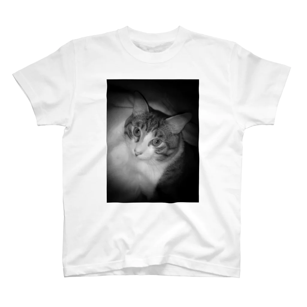 猫和尚のＴシャツ屋さんのぎゃっぽん　その１ Regular Fit T-Shirt
