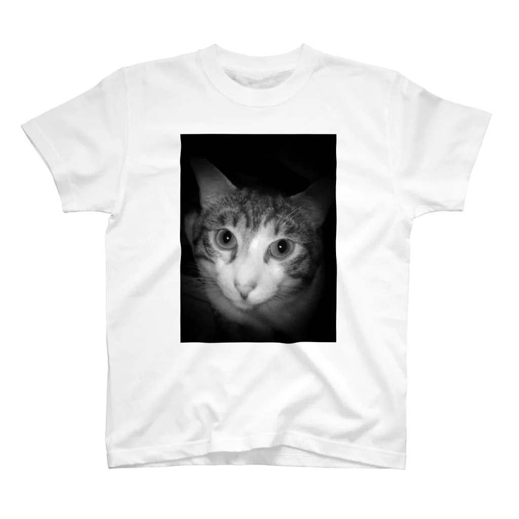 猫和尚のＴシャツ屋さんのぎゃっぽん　その２ Regular Fit T-Shirt