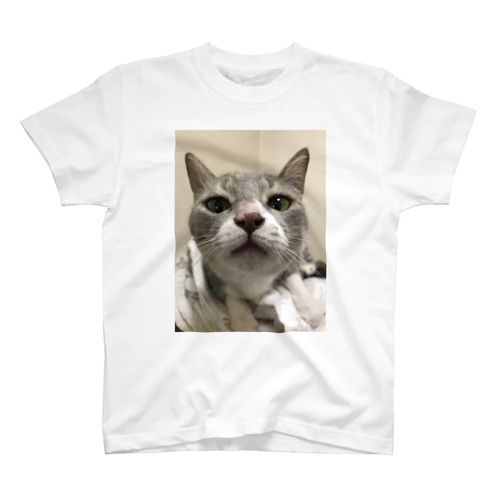 猫和尚のＴシャツ屋さんの猫が寄ってくるのです。 Regular Fit T-Shirt