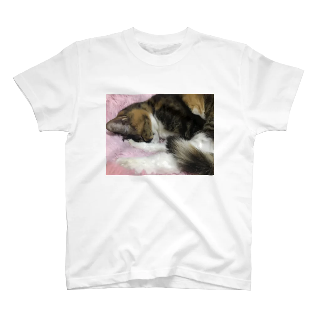 猫月♄志織♄の夢みる夢ちゃん スタンダードTシャツ