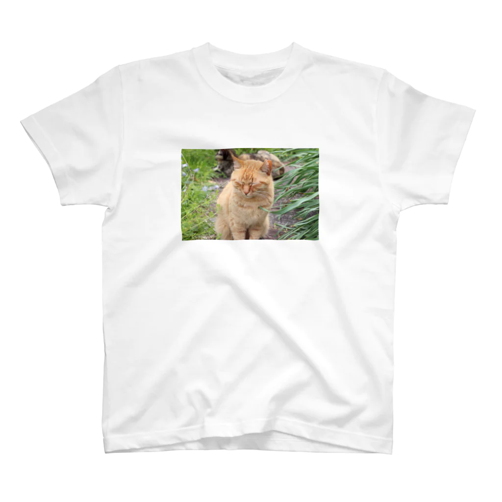 kokumotsu_teikokuのねこちゃんささってるよTシャツ スタンダードTシャツ