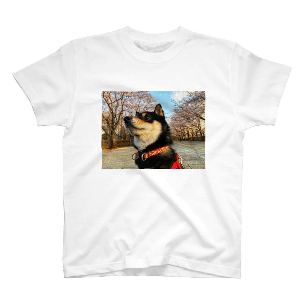 黒柴ショップの桜と黒柴くん Regular Fit T-Shirt