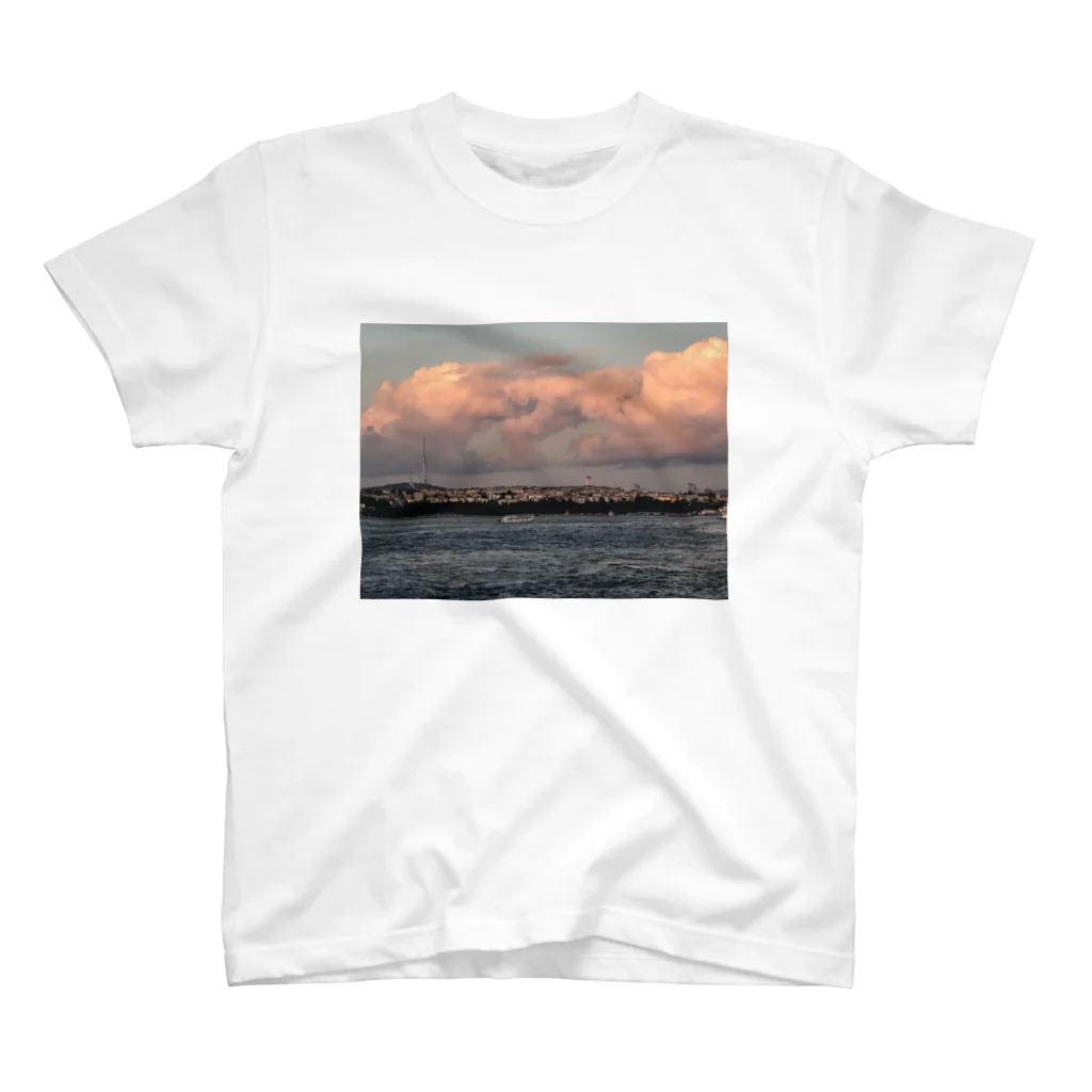 Peacehouseの絶景！イスタンブール🇹🇷 スタンダードTシャツ