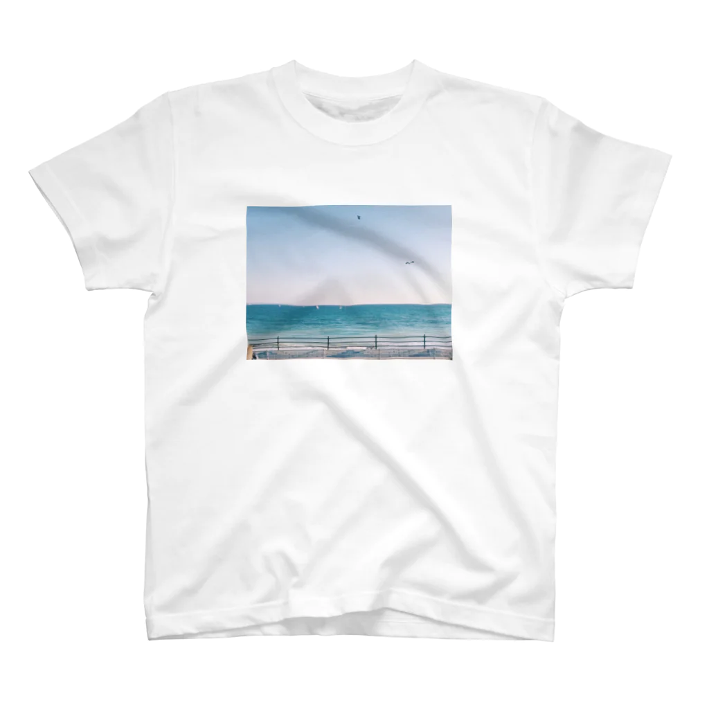 ねこのふとももの江ノ島の海 Regular Fit T-Shirt