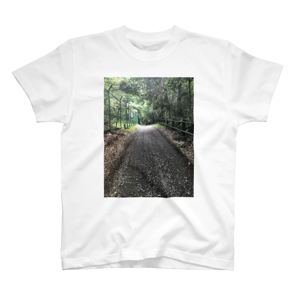 emu5961の森の脇道 Regular Fit T-Shirt