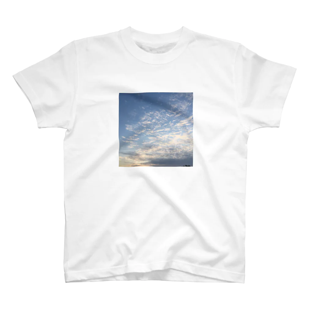 smile_twinsの空色 Regular Fit T-Shirt